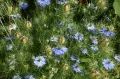 cf5cb36e45e1948d40399bfaf435