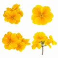 AdobeStock_97275207.jpeg